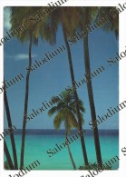 BARBADOS - BAJAN IMPRESSIONS - XXL CARD - Big Format - Barbades