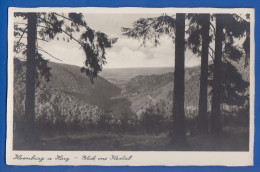 Deutschland; Ilsenburg Harz; Blick Ins Ilsetal - Ilsenburg