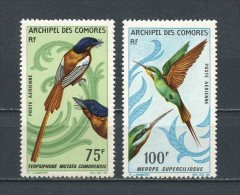 COMORES 1966 PA N° 20/21 **  Neufs = MNH Superbes  Cote 27 €  Faune Oiseaux Birds Fauna Animaux - Airmail