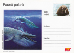12057- ARCTIC WILDLIFE, BLUE WHALE, POSTCARD STATIONERY, 2007, ROMANIA - Fauna ártica