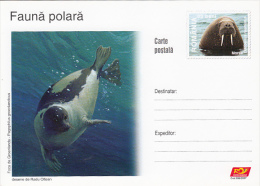 12058- ARCTIC WILDLIFE, SEAL, POSTCARD STATIONERY, 2007, ROMANIA - Arctische Fauna