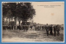 33 - LANGON -- Hippodrome Des Chênes - Un Coin De La Pelouse - Langon