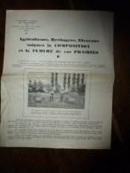 Pub :Agriculteurs,Herbagers,Eleveurs Soignez La Composition Et Fumure De Vos Prairies Avec Le Nitrate De Soude Du CHILI - Pubblicitari