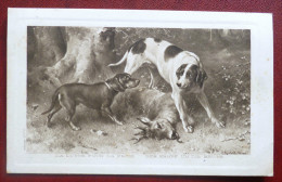 Cpa Litho Bord Relief Illustrateur C. REICHERT 1777 Chasse Chiens Chien Teckel Basset LUTTE PROIE Chevreuil Voyagé 1912 - Richter, Ludwig