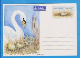 Bird, Birds Swan  ALAND Postal Stationery - Geese