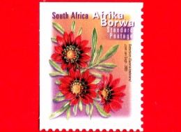 SUD AFRICA - SOUTH AFRICA - Usato - 2000 - Fiori - Flowers - Gazania Krebsiana - 1.30 - Used Stamps
