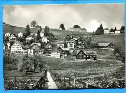 OV847, Speicher, Hinterdorf , Vögelinsegg, Kurhaus Beutler, GF, Circulée 1951 - AR Appenzell Ausserrhoden