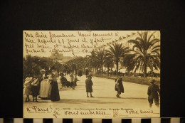 CP, 06, NICE, N° 57, Les Nouveaux Jardins - Avenue Masséna, Dos Simple, Voyagé En 1903, Ed : Giletta - Parques, Jardines