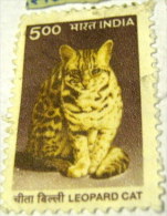 India 2000 Leopard Cat 5.00r - Used - Used Stamps