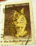 India 2000 Leopard Cat 5.00r - Used - Used Stamps