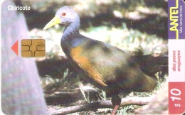 Nº 148 TARJETA DE UN CHIRICOTE DE 10$ (PAJARO-BIRD) - Uruguay