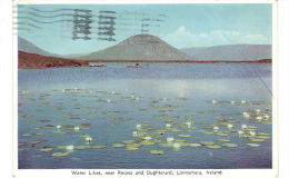 WATER LILIES, NEAR RECESS AND OUGHTERAD, CONNEMARA, IRELAND - Altri & Non Classificati