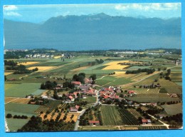 OV860, Denens, Morges, Lac Léman, Alpes  Circulée 1987 - Morges
