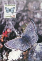 PA1167 Greenland 1997 Butterfly Maximum Card MNH - Cartas & Documentos