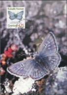 PA1167 Greenland 1997 Butterfly Maximum Card MNH - Lettres & Documents