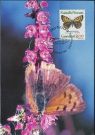 PA1168 Greenland 1997 Butterfly Maximum Card MNH - Brieven En Documenten