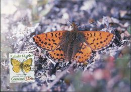 PA1169 Greenland 1997 Butterfly Maximum Card MNH - Brieven En Documenten