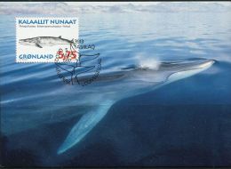 PA1170 Greenland 1997 Whale Maximum Card MNH - Lettres & Documents