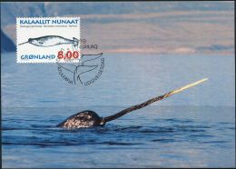 PA1171 Greenland 1997 Whale Maximum Card MNH - Brieven En Documenten