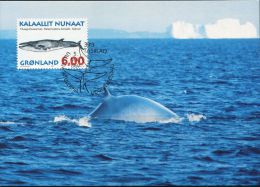 PA1172 Greenland 1997 Whale Maximum Card MNH - Brieven En Documenten