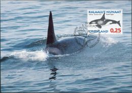PA1175 Greenland 1996 Whale Maximum Card MNH - Brieven En Documenten