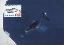 PA1177 Greenland 1996 Whale Maximum Card MNH - Lettres & Documents
