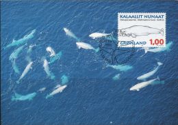 PA1179 Greenland 1996 Whale Maximum Card MNH - Storia Postale