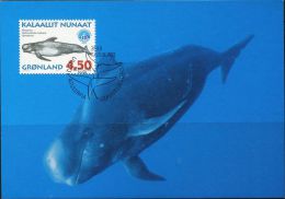 PA1180 Greenland 1998 Whale Maximum Card MNH - Covers & Documents