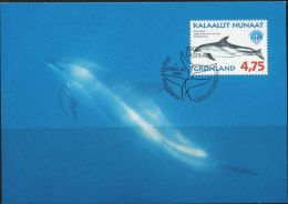 PA1182 Greenland 1998 Whale Maximum Card MNH - Briefe U. Dokumente