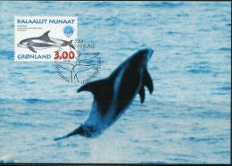 PA1183 Greenland 1998 Whale Maximum Card MNH - Storia Postale