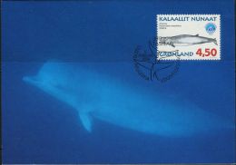 PA1185 Greenland 1998 Whale Maximum Card MNH - Briefe U. Dokumente