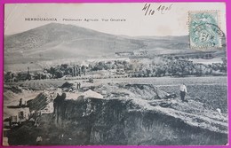 Cpa Berrouaghia Pénitencier Agricole Vue Générale 1906 Carte Postale Algérie - Andere & Zonder Classificatie