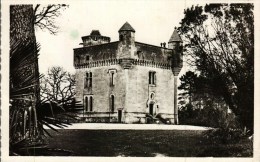 CPSM   Photo  (17)    CROIX-GENTE  -  Le Château   ,  Près MONTENDRE  - - Montendre