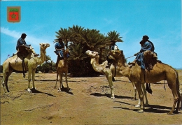 MAROC   MAROCCO  Caravane De Meharistas De M'Hamid - África