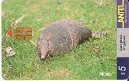 Nº 92 TARJETA DE URUGUAY MULITA (ARMADILLO) - Uruguay