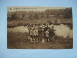 Réf: 68-11-70.                 HEIDE    Diesterweg's Openluchtschool      ( Brunâtre ). - Kalmthout