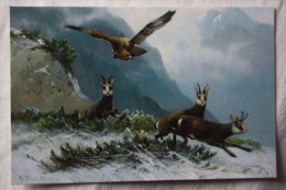 MULLER - Hunting - Goat - Eagle  - Modern Postcard - Mueller, August - Munich