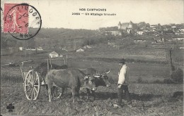 NOS CAMPAGNES - UN ATTELAGE LIMOUSIN - Limousin