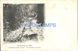 2079 BOLIVIA LA PAZ AL BENI CORDILLERA DE LOS ANDES BAJADA POR MAPIRI POSTAL POSTCARD - Bolivien