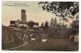 CPA Saint Fargeau St Montagne De La Citanguette 77 Seine Et Marne Couleur - Saint Fargeau Ponthierry