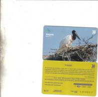 Brasil-tuiuiu-10/2000-tirage-200.000-used+1card Prepiad Free - Arenden & Roofvogels