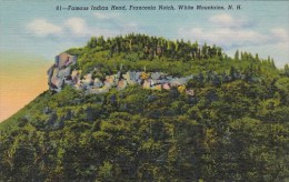 Famous Indian Head Franconia Notch White Mountains New Hampshire - White Mountains