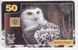 Estonia   , Phonecards   ,  Animals , Birds , Owls  , Used - Búhos, Lechuza