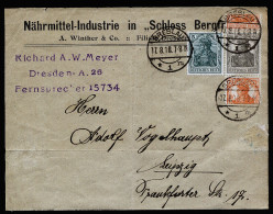 A3023) DR Briefstück Von Breslau 17.8.1918 Mit Geteiltem Rollenzusammendruck - Storia Postale