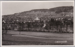 AK ZH METTMENSTETTEN 1938-11-03 Zürich Foto Bürgi - Mettmenstetten