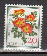 SUISSE * YT N° 1042 - Unused Stamps