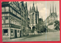 161594 / Erfurt - DOM UND SEVERI CATHEDRAL , GRÜNE APOTHEKE  GREEN PHARMACY  - Germany Allemagne Deutschland Germania - Erfurt