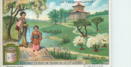 CHROMO LIEBIG - La Vie Des Plantes - Plantes-Naines Du Japon - Série Belge N° 1171 - Année 1925 - Liebig