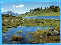 Mans1246, Petit Lac, Restaurant Du Tracouet Sur Nendaz, 13119, GF, Circulée 1968 - Nendaz