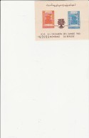 AFGHANISTAN - BLOC FEUILLET N° 8 NEUF XX COTE:11 € - Afghanistan